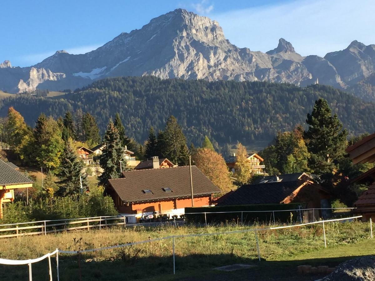 Chalet Le Slalom Arveyes Buitenkant foto