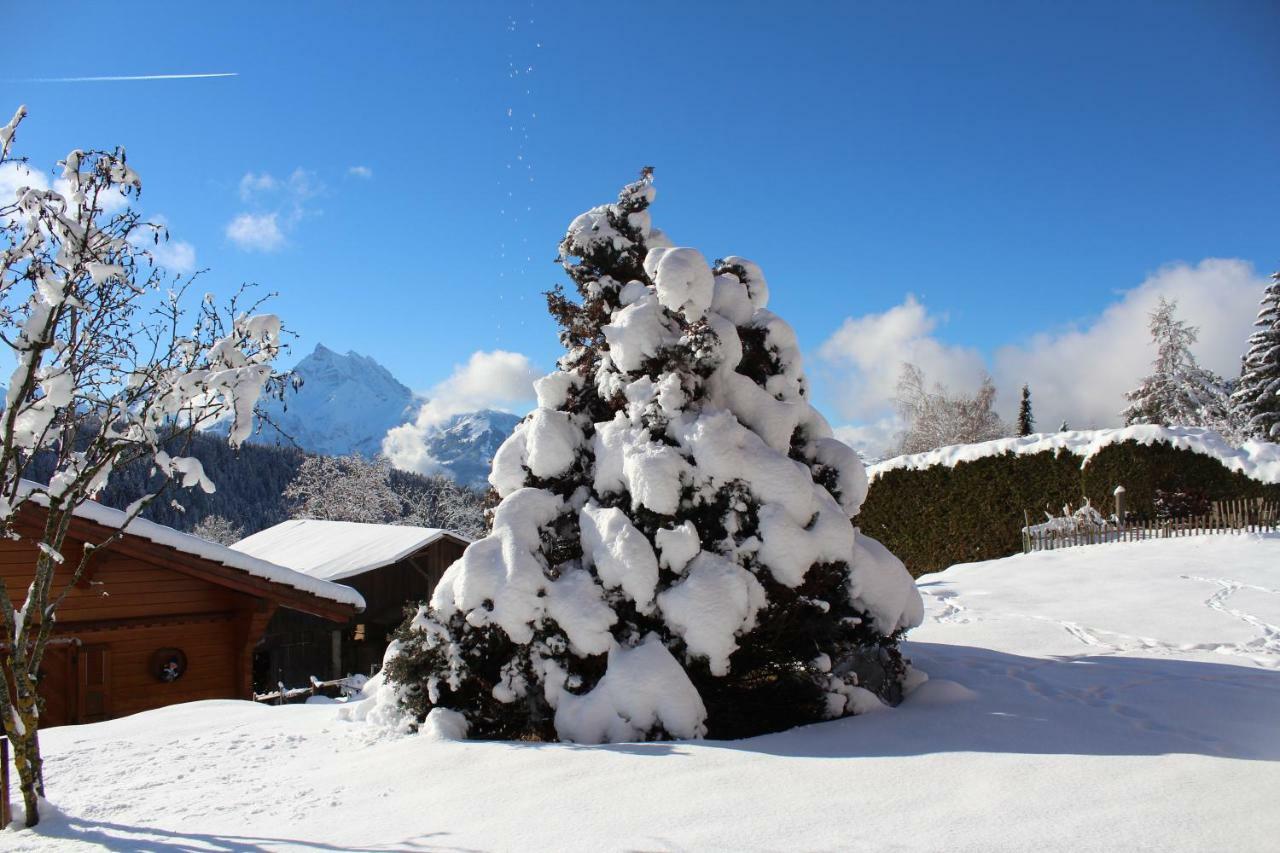 Chalet Le Slalom Arveyes Buitenkant foto