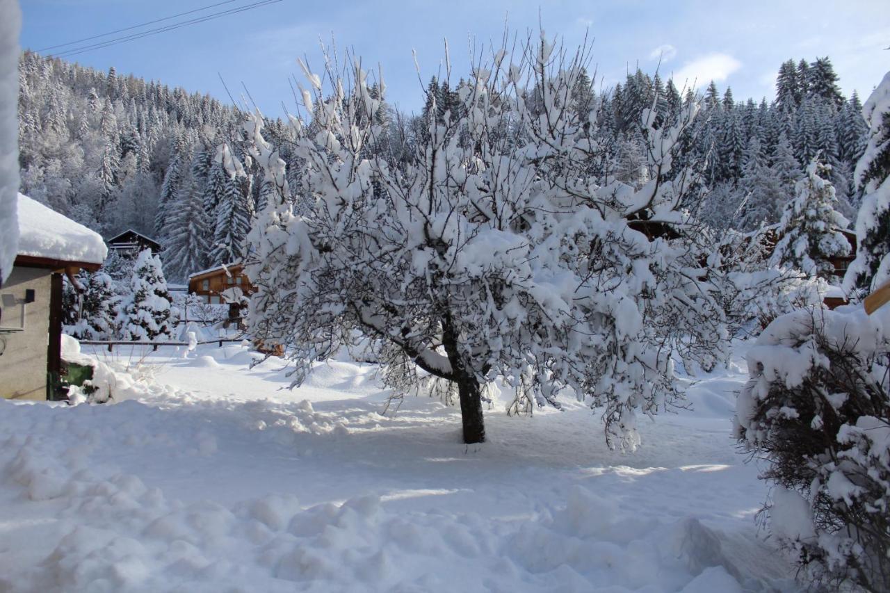 Chalet Le Slalom Arveyes Buitenkant foto