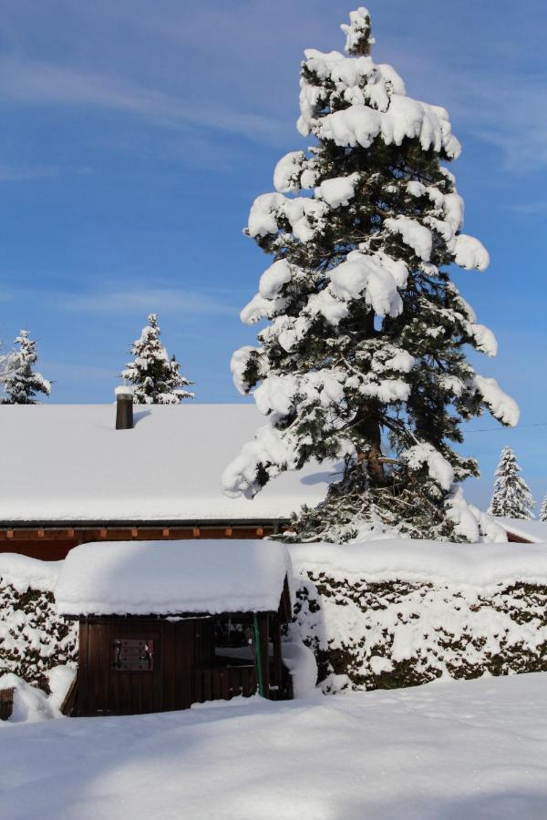 Chalet Le Slalom Arveyes Buitenkant foto